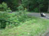BRP04_PS068.jpg (74331 bytes)