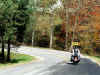 CCWF_DB003.jpg (78268 bytes)