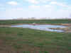 COR_GG018.jpg (46086 bytes)