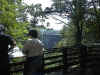 Dsc00018.jpg (85374 bytes)