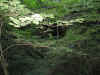 HH071005_JC015.jpg (65546 bytes)