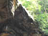 HH071005_JC026.jpg (53304 bytes)