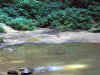 HH071005_JC030.jpg (57762 bytes)