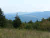 MO05_GG028.jpg (45615 bytes)