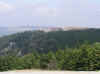 MO05_LM051.jpg (46579 bytes)