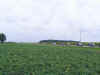 NWOBBQ_GD019.JPG (32327 bytes)