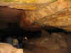 OC05_JC004.JPG (42007 bytes)