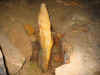 OC05_JC055.JPG (43207 bytes)