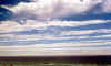 Oregon9.jpg (31213 bytes)