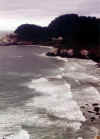 OregonG.jpg (60072 bytes)