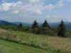 Sh_dp012.jpg (32164 bytes)