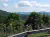 Sh_dp013.jpg (46559 bytes)