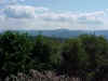 Sh_dp014.jpg (35754 bytes)