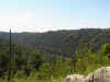 Sh_jc008.jpg (91835 bytes)