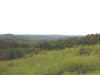 Si_jc028.jpg (24182 bytes)