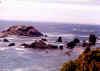 oregon4.jpg (43211 bytes)