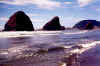 oregon9b.jpg (45826 bytes)