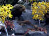 Cabela06_033.JPG (58443 bytes)