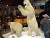 Cabela06_037.JPG (41343 bytes)