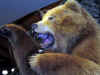 Cabela06_045.JPG (44098 bytes)