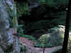 OMC070906_019.JPG (54682 bytes)