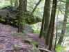 omc_lisa_092808_0042.jpg (136616 bytes)